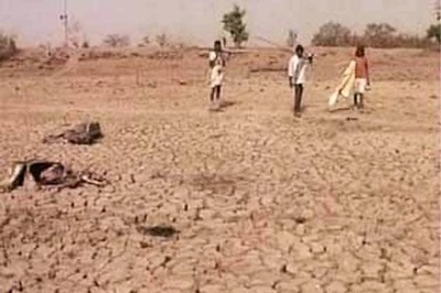 Maharashtra drought: Govt okays Rs 256 cr for orchards
