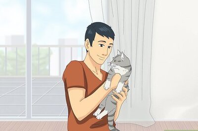 How to Get Your Cat to Know and Love You