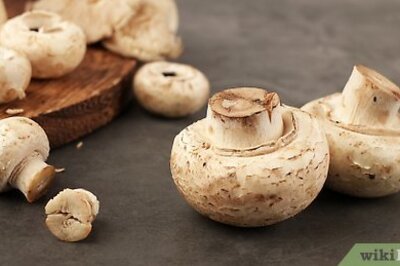 How to Make a Mushroom Spore Print