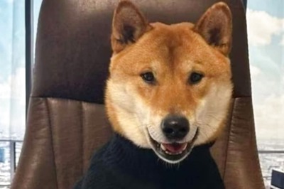 Elon Musk 'Hires' His Dog As New Twitter CEO