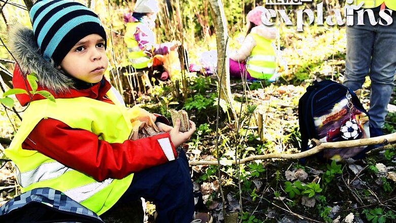 Only '1 Exam' in 9 Years of School: Finland's Unique Education System Explained Amid AAP-LG Row