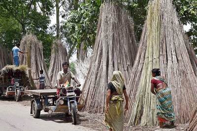 OPINION | Communities in Confusion: Impact of Free Economic Liberalisation on ​Dalits