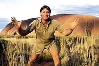 Irwin 'wanted his death filmed'