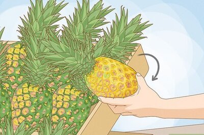 How to Cut a Pineapple: A No-Knife Hack