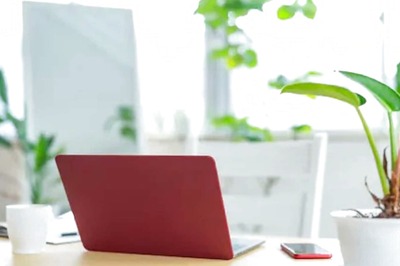 Working From Home? Add These Plants to Make Your Table Look Better