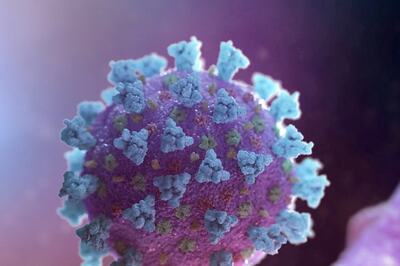 JN.1 Covid Variant Reported in Kerala: All You Need To Know About The New Coronavirus Strain