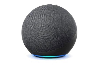 Here's How You Can Use Amazon Alexa To Know UP, Punjab Election 2022 Results