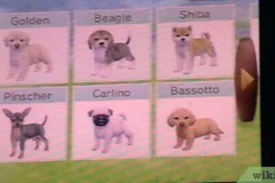 How to Make Money on Nintendogs
