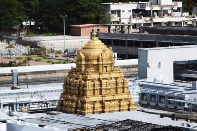 Hair Raising Income! Tirupati Temple Earns Rs 7.84 Crore Auctioning Hair