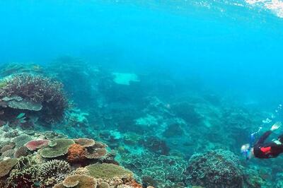 Deep Ocean Mission Soon to Study Origins of Life: MoES Official