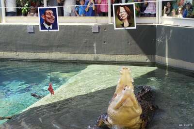 Croc picks Aussie PM as federal poll winner