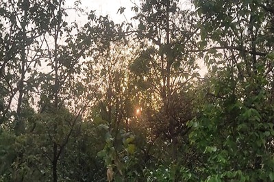 Govt Proposes Amending Forest Conservation Act for Border Infrastructure Projects