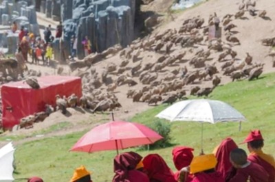 Why Dead Bodies In This Country Are Fed To Vultures