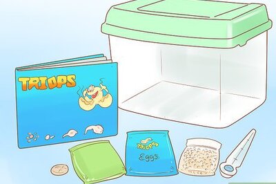 How to Hatch Triops