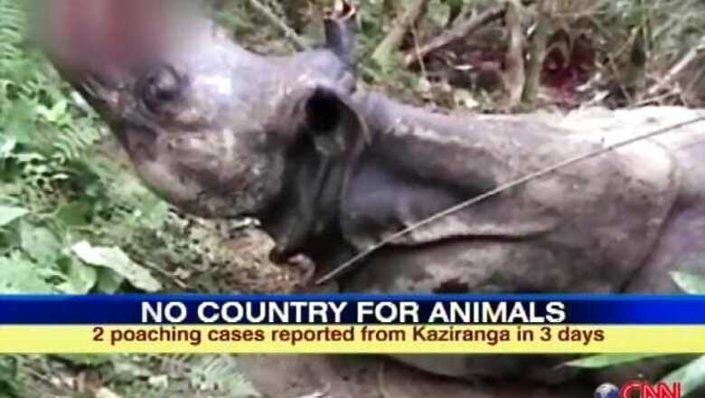 Rhino left bleeding dies, fifth death in 3 days