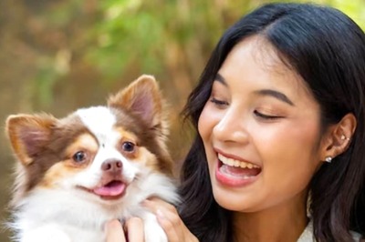 Pets In China Are 'Working' Part-Time Jobs And Getting Paid In Snack