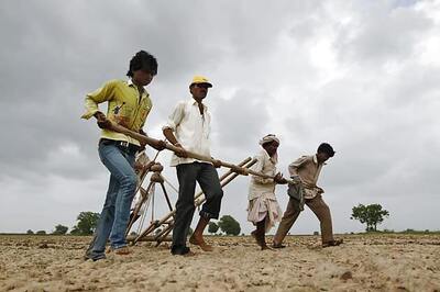 Partial drought likely this year, says IMD