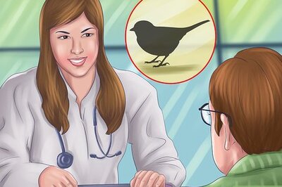 How to Clip a Small Bird's Wings