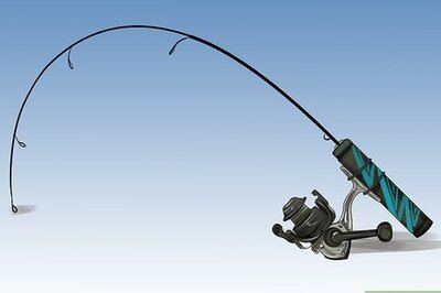 How to Catch a Catfish