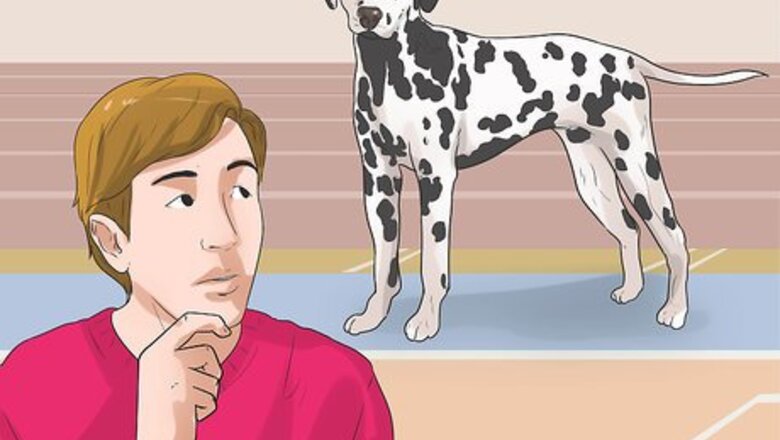How to Cosplay as a Dog