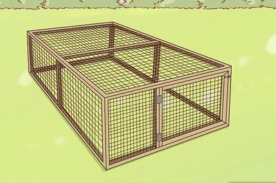 How to Keep Pet Rabbits Safe