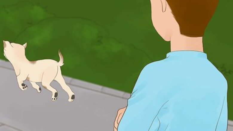 How to Catch Your Dog when They Run After Another Dog or Person