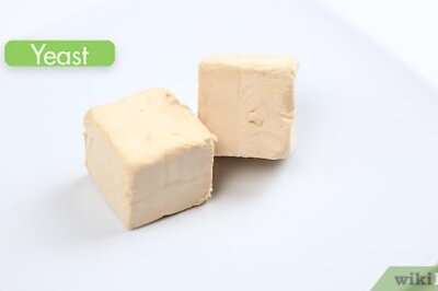 How to Activate Fresh Yeast
