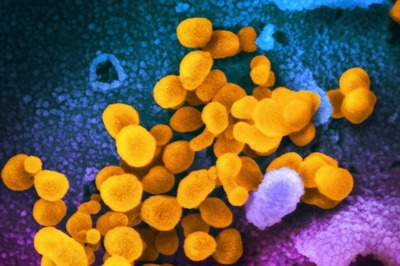 India Logs 38 New Covid Cases, Active Tally Dips To 1,470