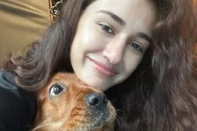Disha Patani Is Missing Pet Bella, Shares Video of Her Kissing the Doggo; Watch
