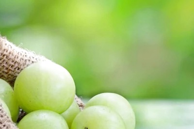 From Diabetes to Digestion, Amla is Your Go-to 'Super Fruit' in Winters