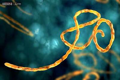 Centre says it is equipped to detect Ebola; HC seeks affidavit