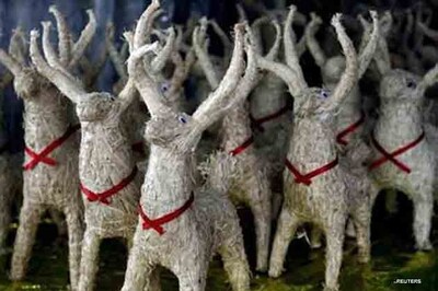  Tip for Santa: reflective reindeer collars