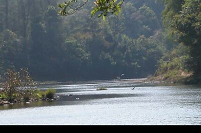 Western Ghats report may spoil the chances of Congress