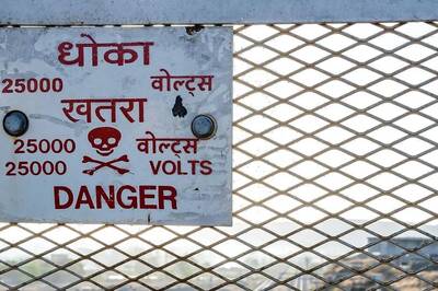 Five Buffaloes Die of Electrocution While Grazing in Thane District