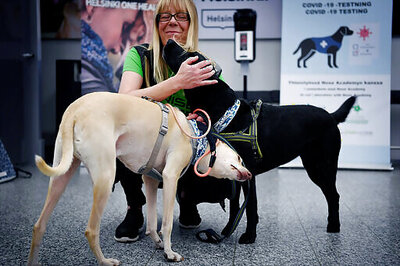 Finland Deploys Coronavirus-sniffing Dogs At Main Airport