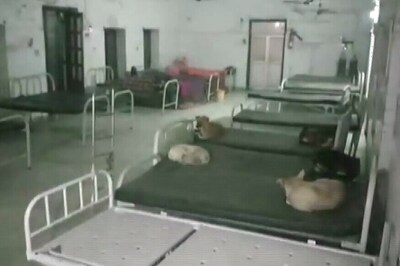 Dogs Sleep on Beds Meant For People in Bihar Hospital, Probe Ordered