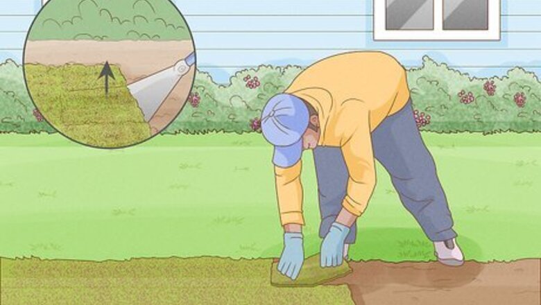 How to Grow Moss