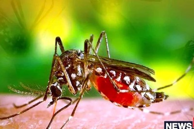 Dengue Infection Tally Crosses 2000-mark in Delhi, Over 1200 Cases in Oct