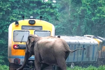 In Kerala, AI-based Gajraj System Installed To Curb Elephant Deaths At Railway Crossings