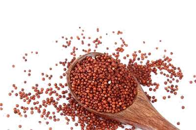 5 Health Benefits of Ragi That You Should Know And Why To Have It In Your Diet