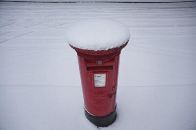 Man couriers himself to girlfriend, almost dies