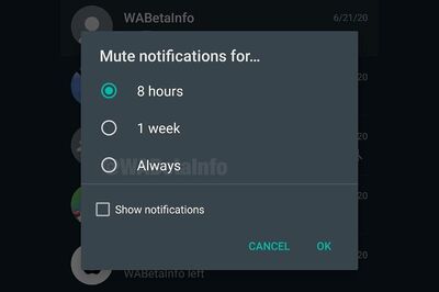 WhatsApp Group Mute Forever Option Coming Soon: This Could be the Respite You Wanted