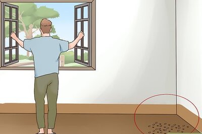 How to Clean Rat Droppings