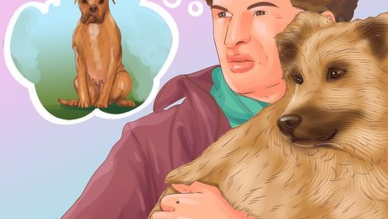 How to Decide Whether to Get a Second Dog