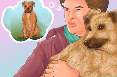How to Decide Whether to Get a Second Dog
