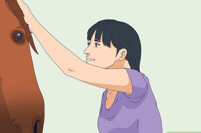 What Is a Horse Girl? All Your Questions Answered