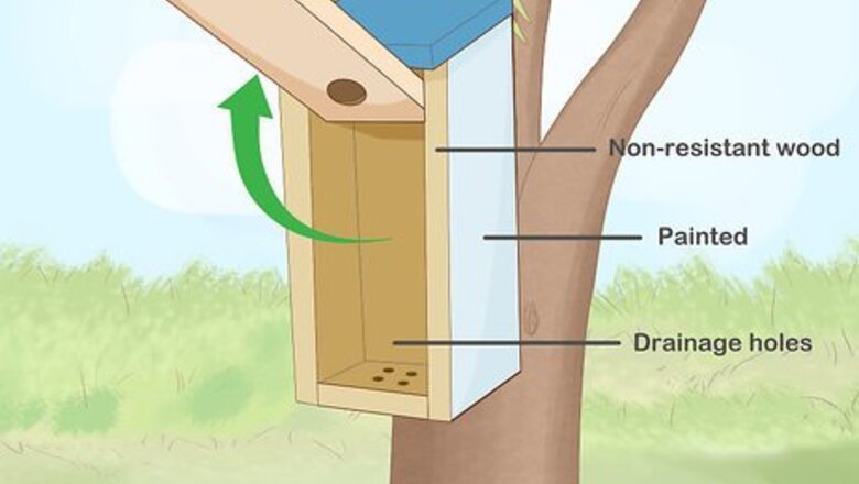 How to Attract Eastern Bluebirds