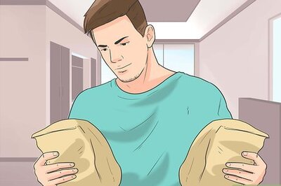 How to Care for German Shorthaired Pointers