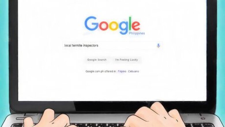 How to Hire a Termite Inspector