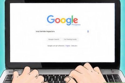 How to Hire a Termite Inspector